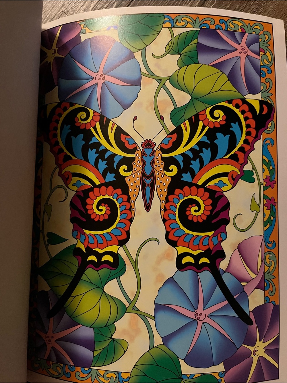 Incredible Insect Designs Coloring Book - Purple & Multicolor - Picture 9 of 10